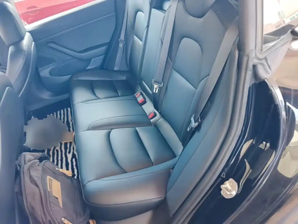 Tesla Model 3 2020 2020 Standard Range Rear-Wheel Drive Upgrade