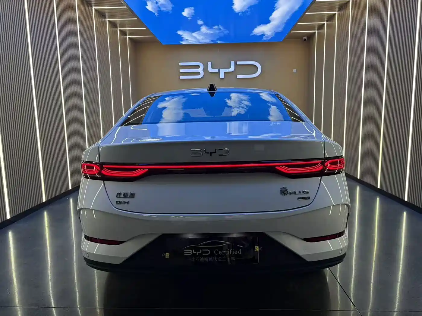 Фото 15 - BYD Qin PLUS