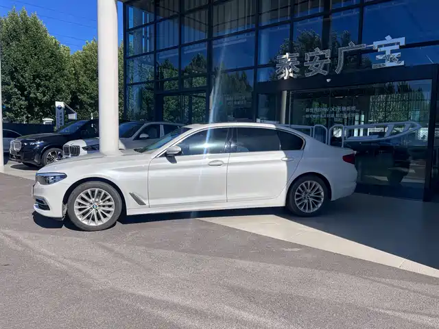 BMW 5 Series 2019 530Li Leading Luxury Package — фото 2