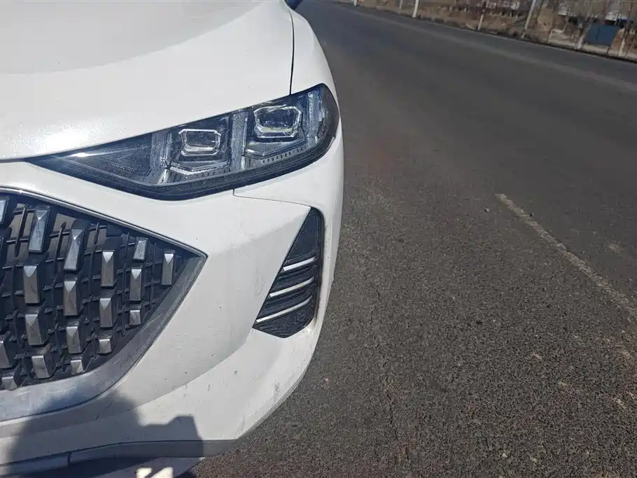 WEI PAI WEI BRAND MOCHA