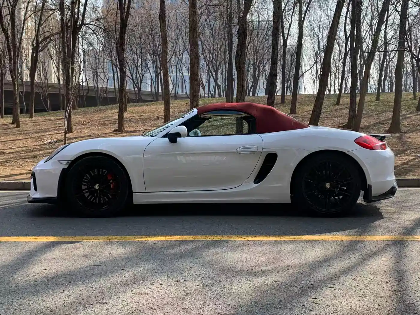 Porsche Boxster 2015 Boxster Style Edition 2.7L фото 3