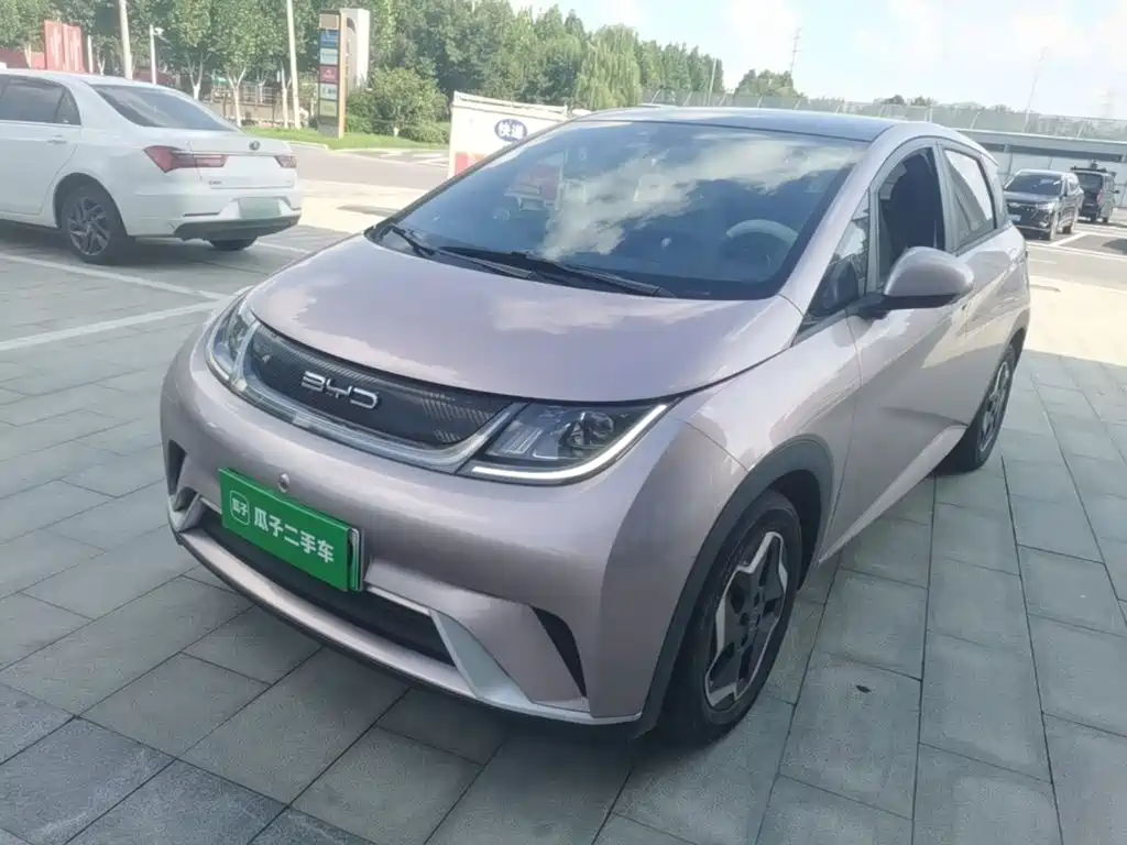 BYD Dolphin 2021