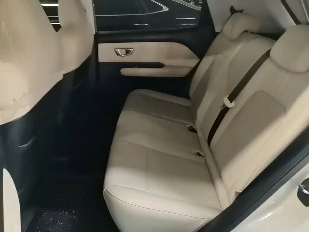 Wuling Motors Wuling Binguo PLUS 2025 2024 510km Range 5-seater