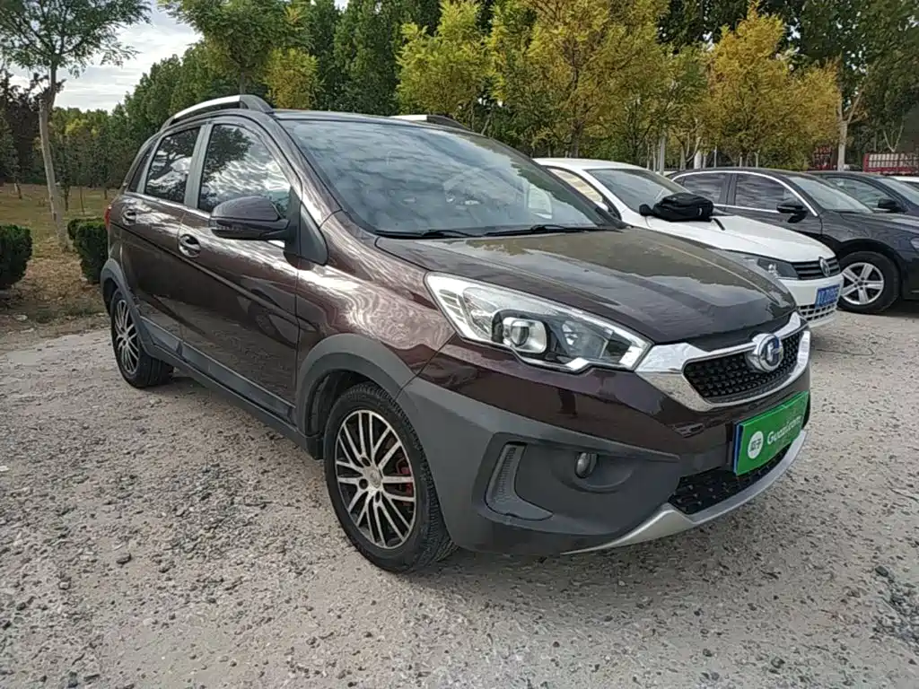 Фото 4 - BAIC Changhe Q25