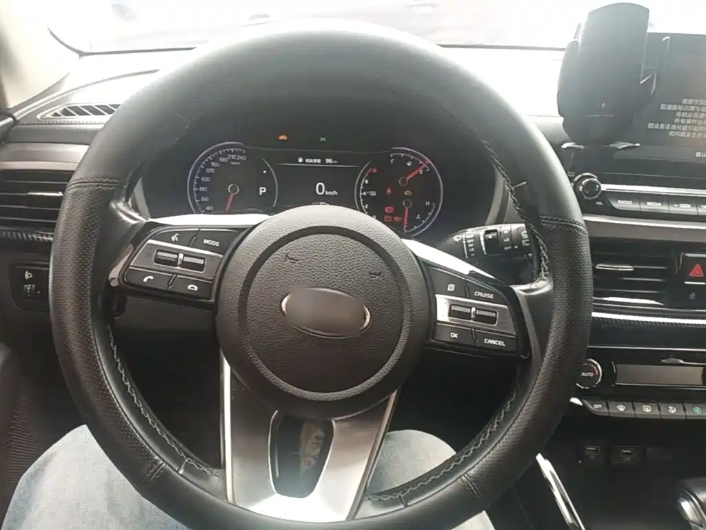 Kia Sportage 2019 2.0L Automatic Smart Luxury Edition фото 11