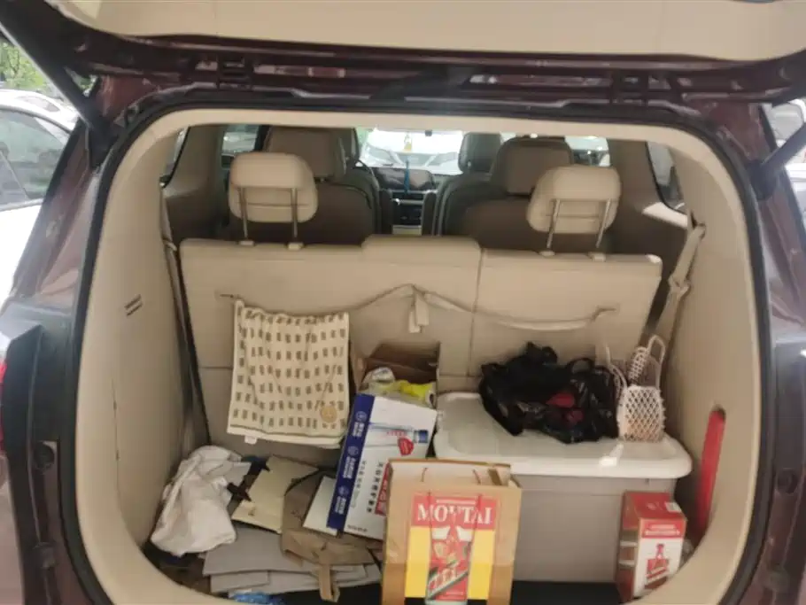 Buick GL8 2022 ES Landmark 653T Luxury фото 4