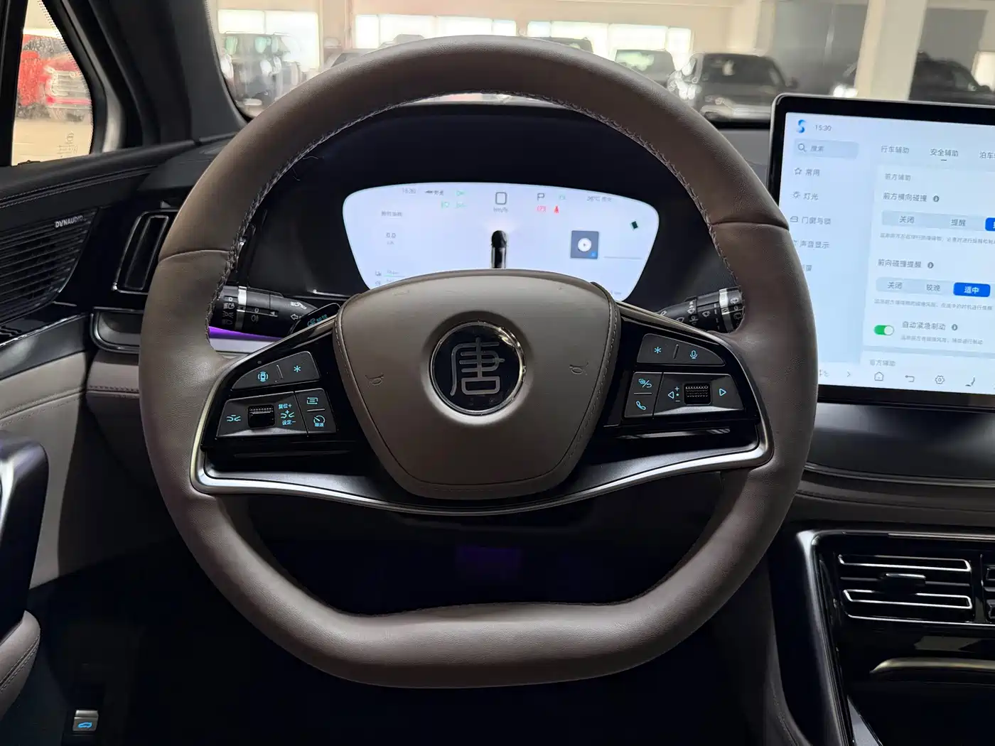 BYD Tang New Energy 2025 2025 Smart Driving Edition DM-i 115KM Flagship