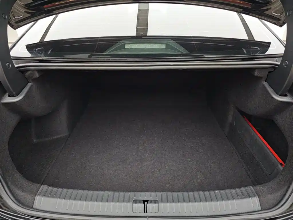 Volkswagen Passat 2022 330TSI Premium Edition фото 2