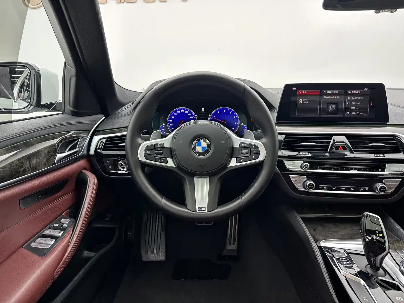 BMW 5 Series 2019 530Li xDrive M Sport Package фото 3