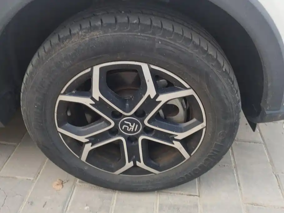 BYD Yuan Pro 2022 2021 401KM Luxury Model