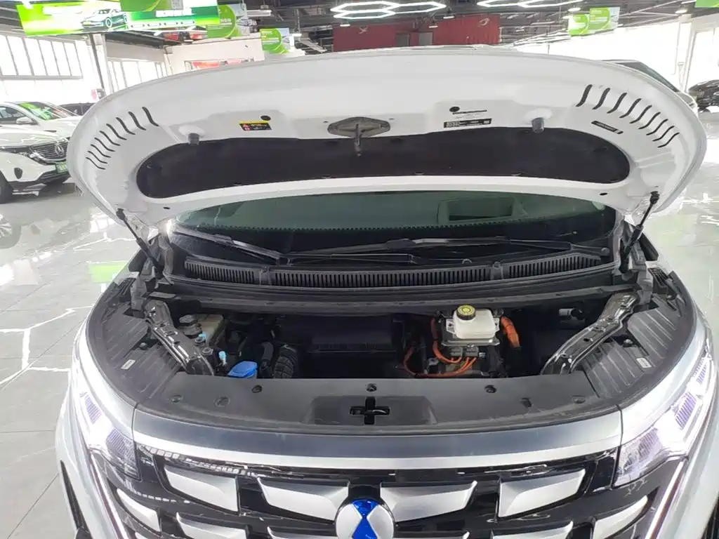 Denza D9 2022 2022 DM-i 970 AWD Flagship