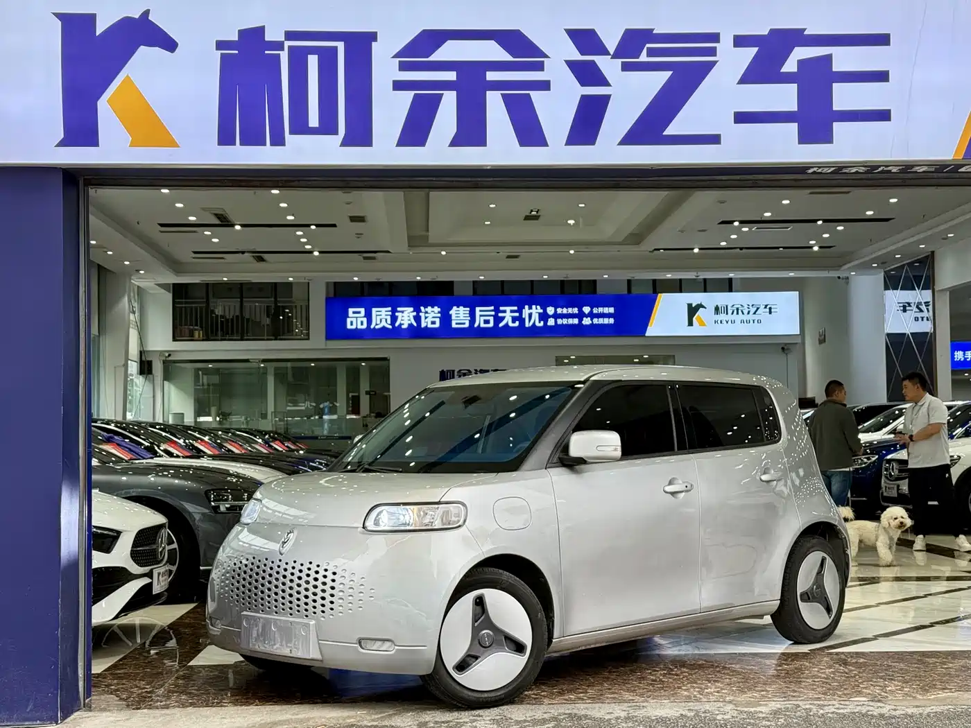 Ora White Cat 2020 360km Luxury Model
