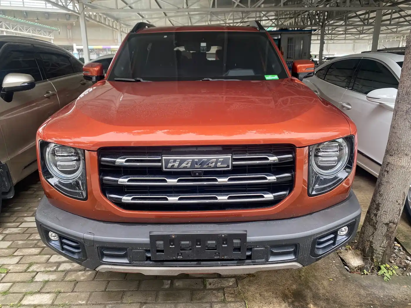 Haval Big Dog 2021 1.5T DCT 2WD Labrador Edition