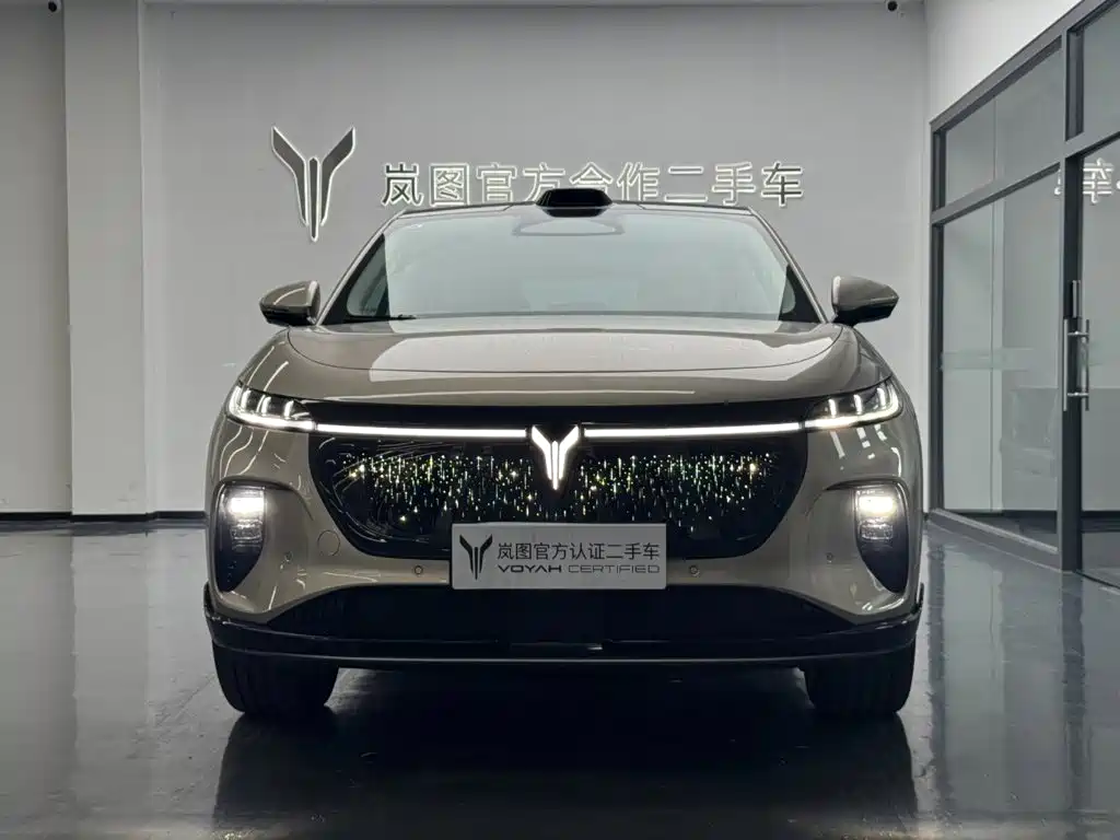 2025 Voyah Auto Voyah Zhiyin