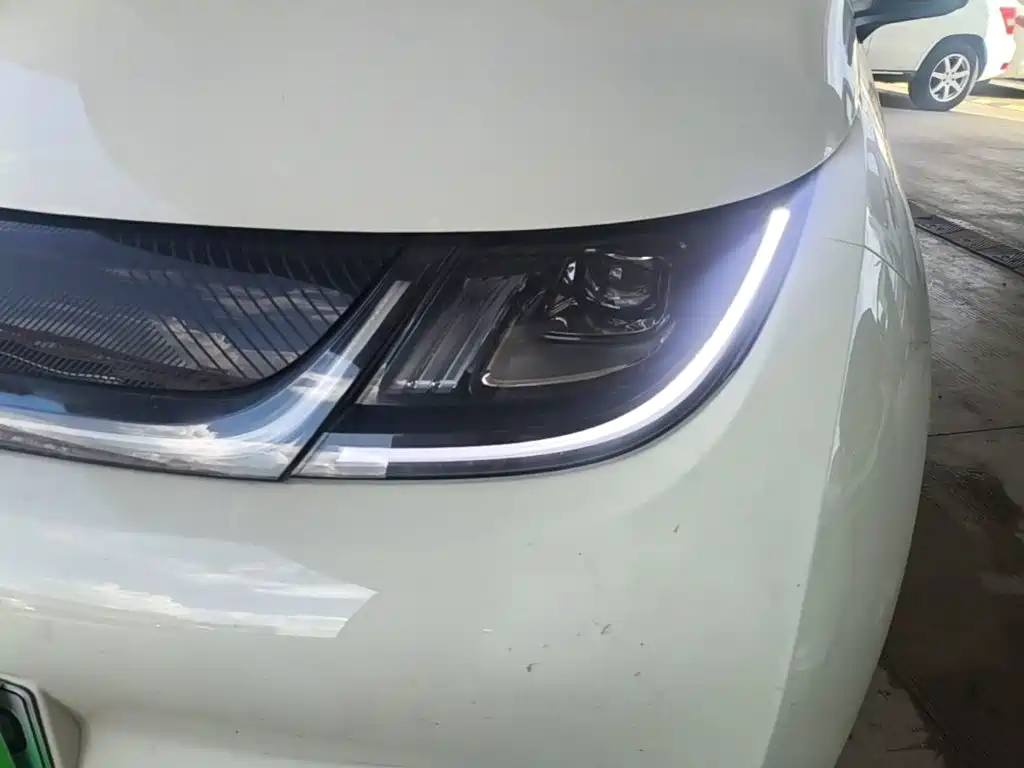 BYD Dolphin 2026 2025 420km Freedom Edition