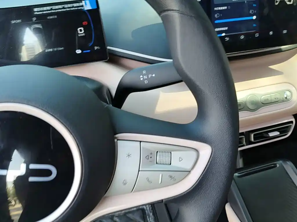 BYD Seagull 2026 2025 Smart Drive Edition 305km Vitality Version