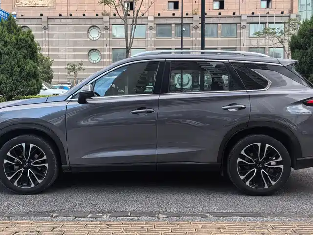 GAC Trumpchi Trumpchi GS4 PLUS 2021 270T Automatic Galaxy Edition — фото 2