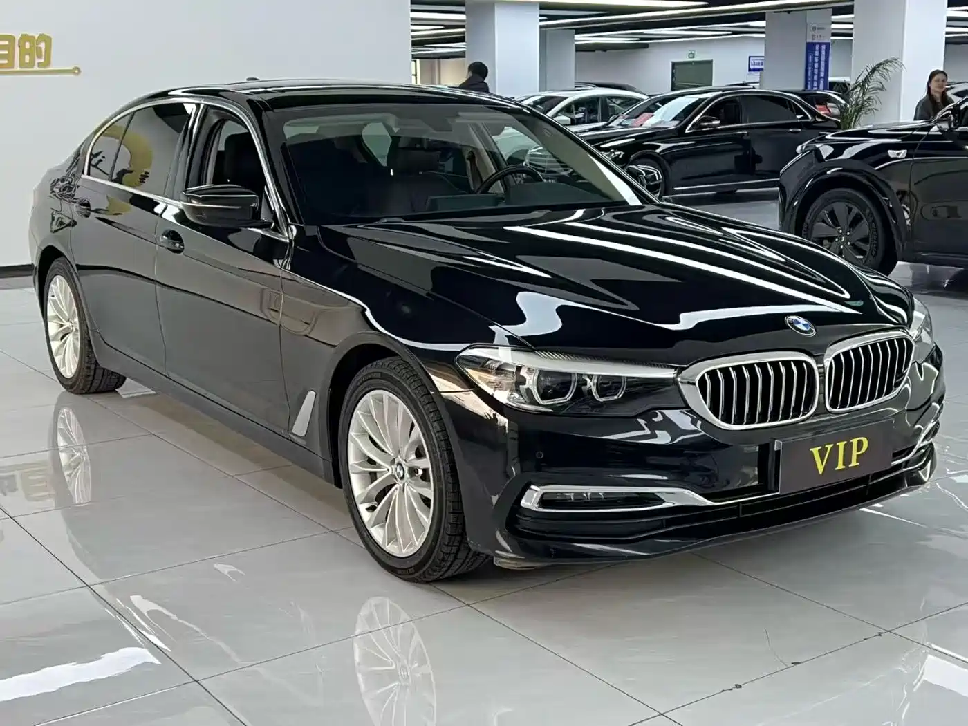 BMW 5 Series 2019 530Li Leading Luxury Package фото 3
