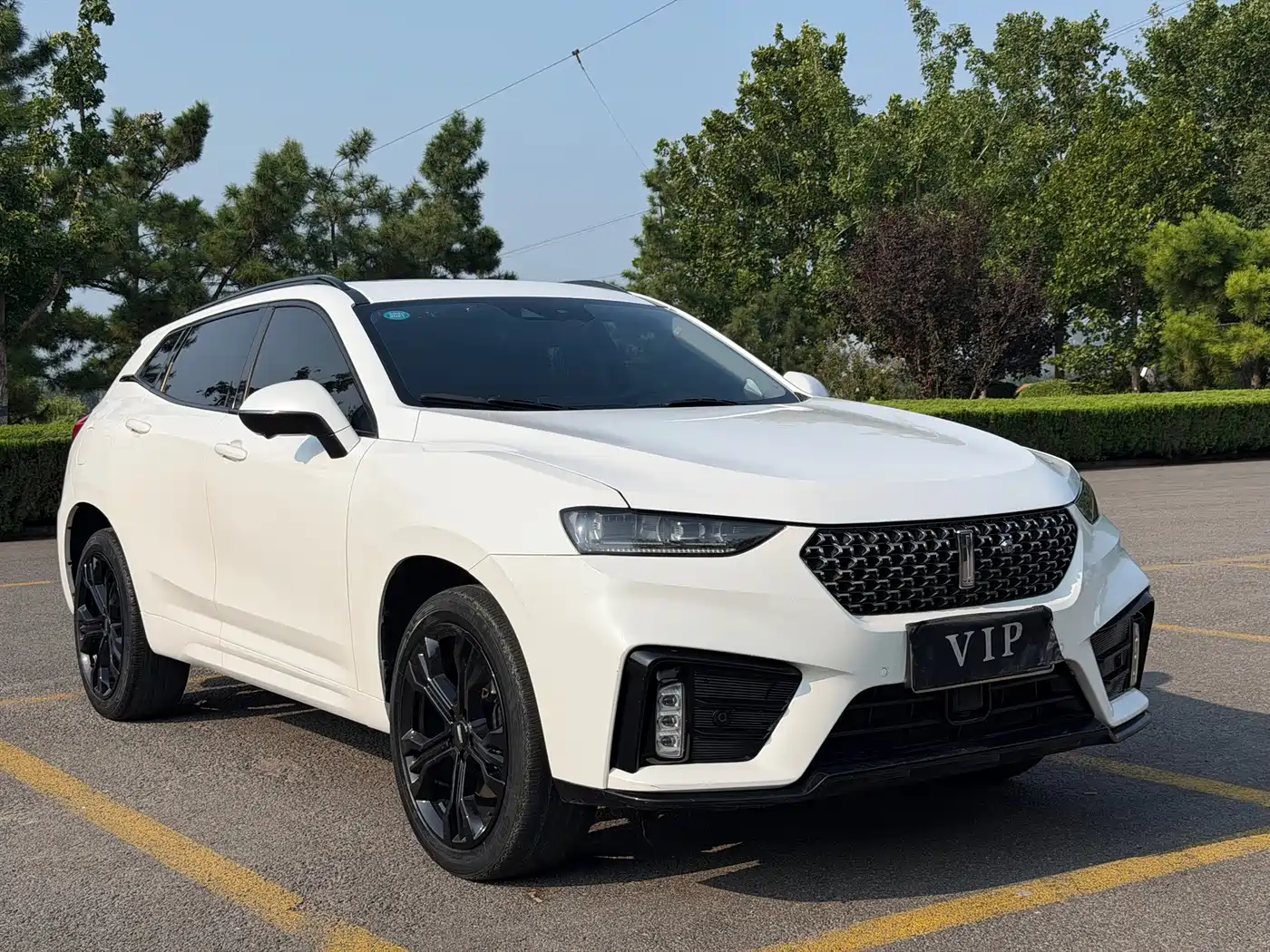 WEY VV7 2020 2020 Model 2.0T Flagship