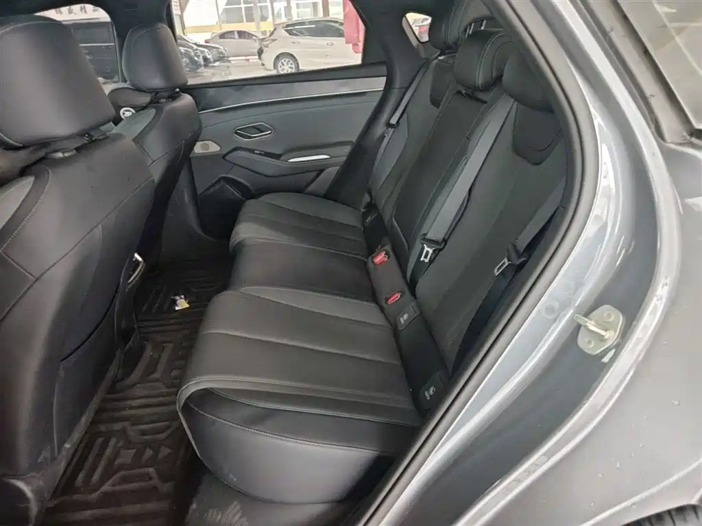 BYD Qin L 2024 DM-i 120KM Superior Edition фото 17