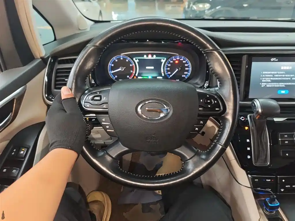 GAC Trumpchi Trumpchi M8 2018 320T Exclusive Edition фото 11
