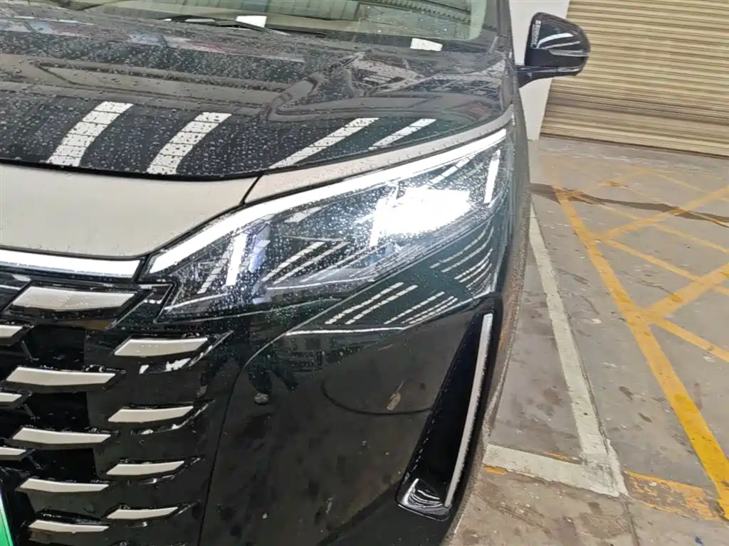 BYD Xia 2025 DM-i 1.5T 180km Surpass Edition фото 24