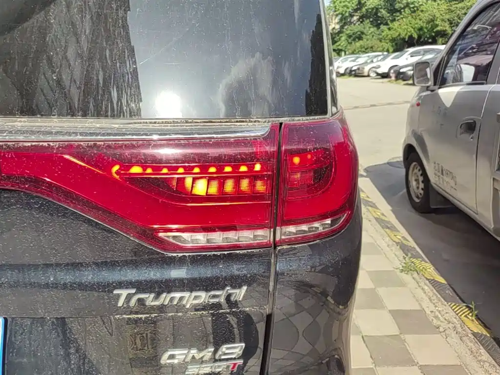 GAC Trumpchi Trumpchi M8 2020 Pilot 390T Prestige Edition фото 8