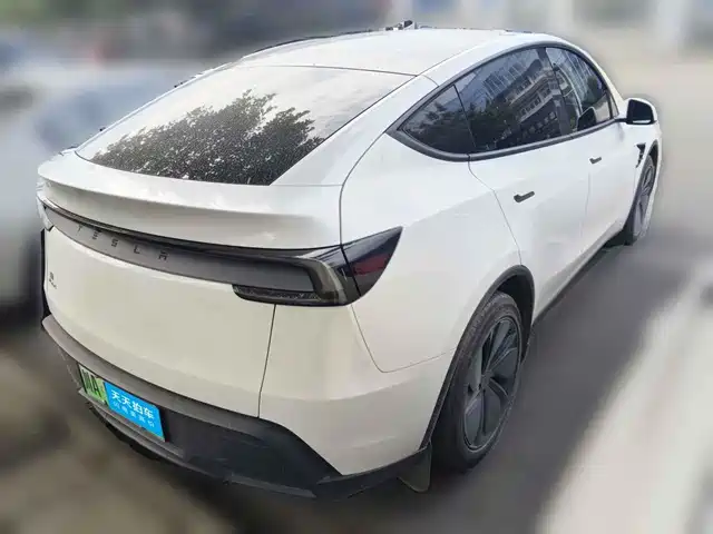 Tesla Model Y 2025 Rear-Wheel Drive — фото 2