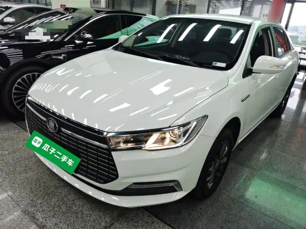 BYD Qin New Energy 2019 Travel Standard Edition