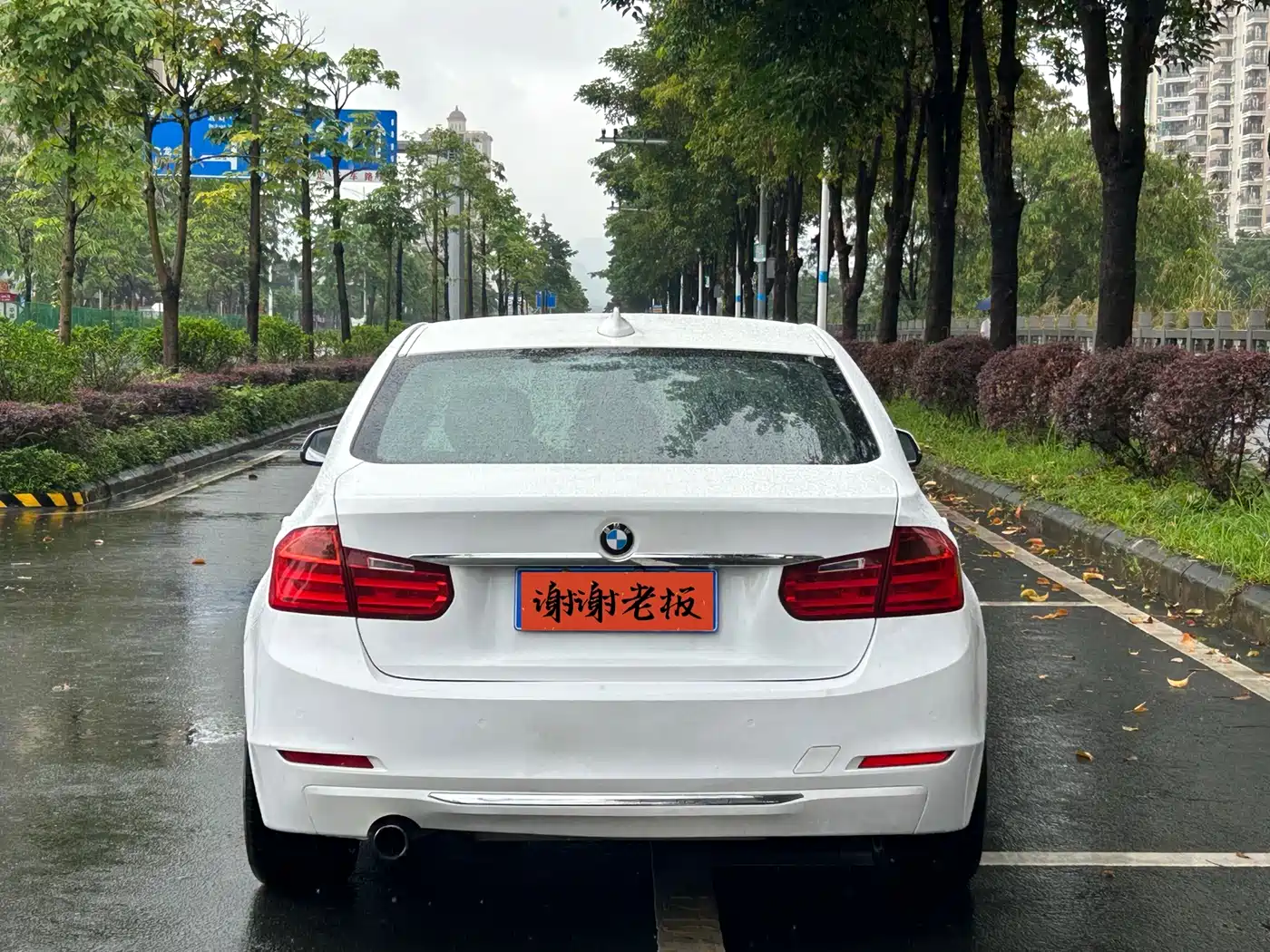 BMW 3 Series 2013 Facelift 320Li Luxury Design Package фото 5