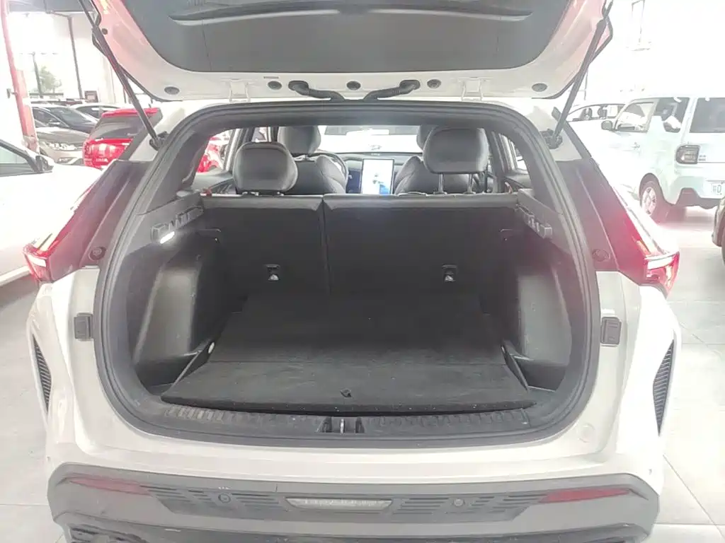 Фото 19 - Geely Atlas