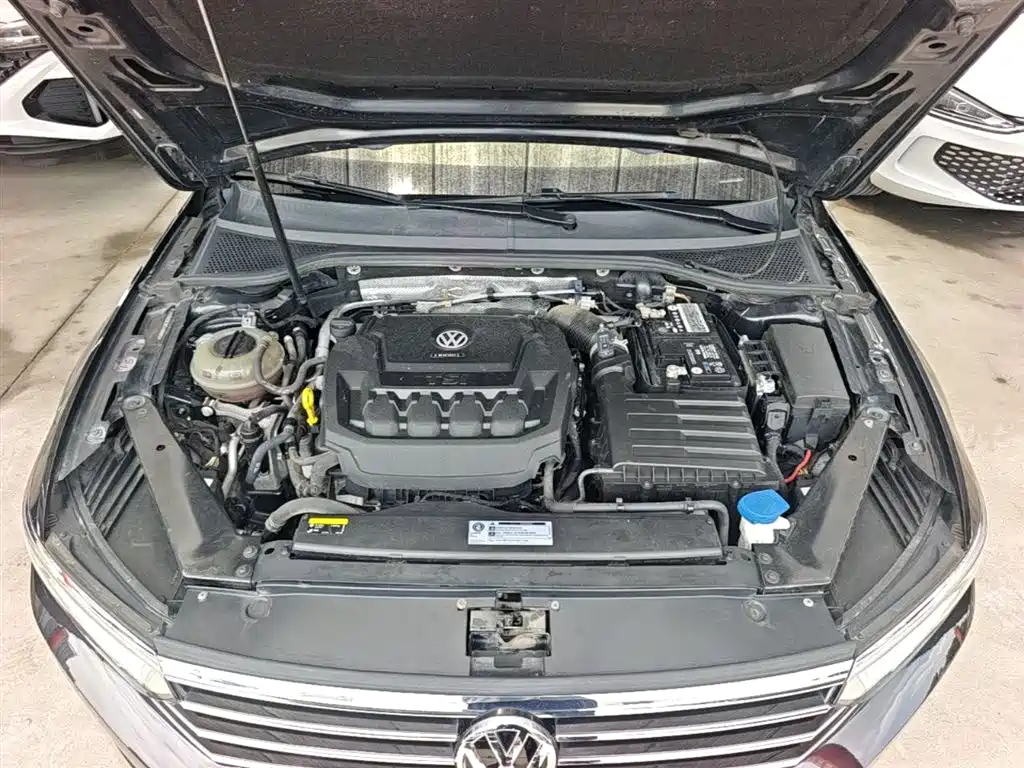 Volkswagen Magotan 2019 330TSI DSG Luxury Class China VI фото 20