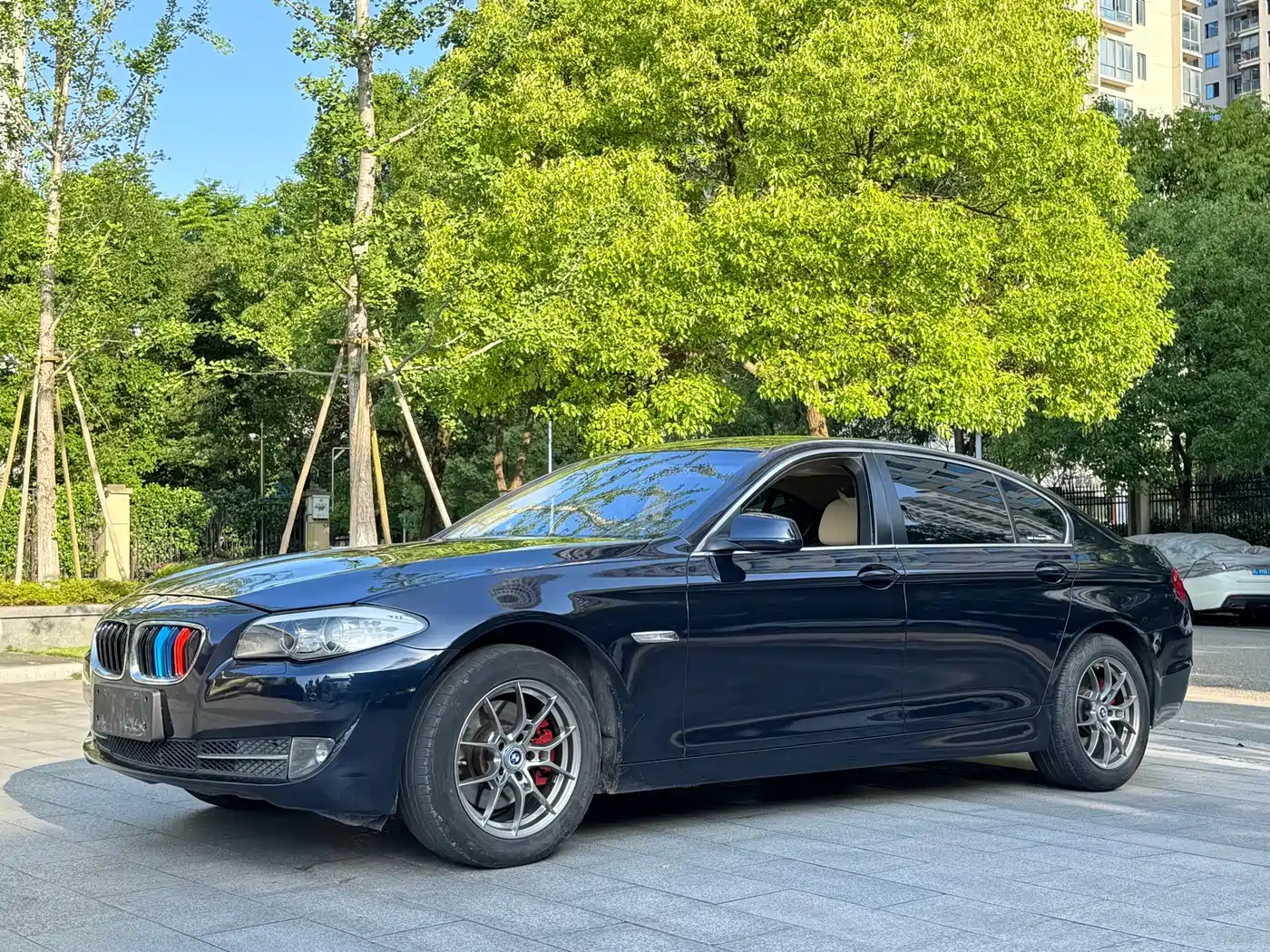 BMW 5 Series 2013 525Li Luxury фото 2
