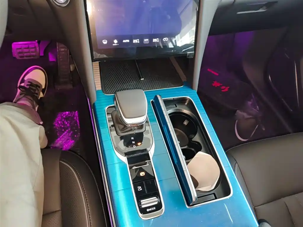 Hongqi HS7 PHEV 2024 2.0T PHEV 4WD Flagship Edition 6-seater фото 14