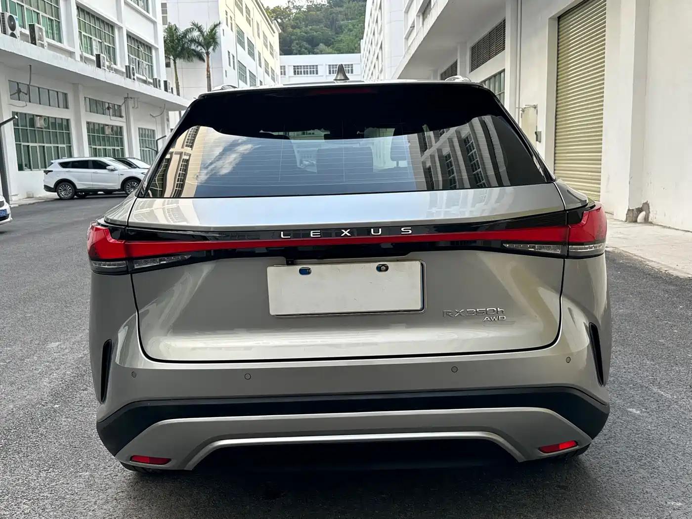 LEXUS RX