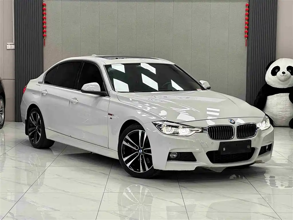 BMW 3 Series 2019 320Li M Luxury Package фото 3