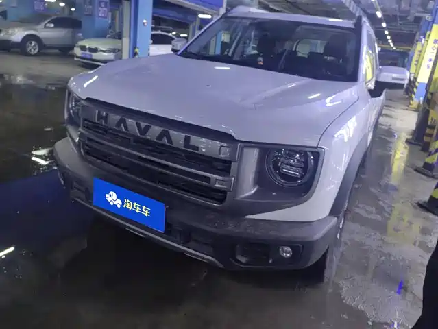 HAVAL BIG DOG