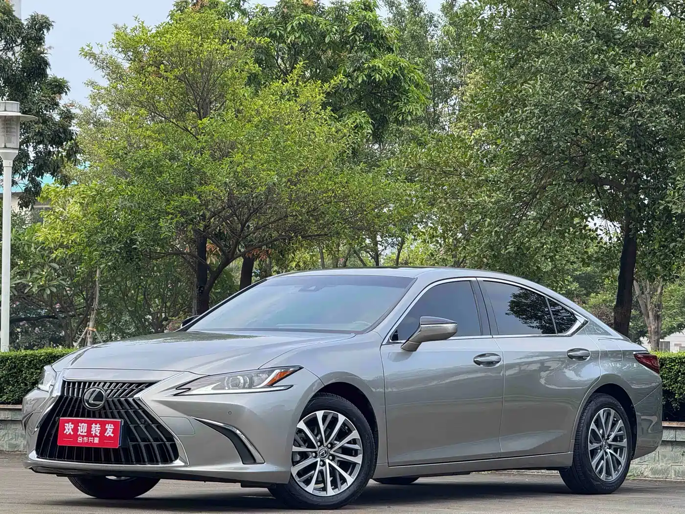 Lexus ES 2022 200 Excellence Edition