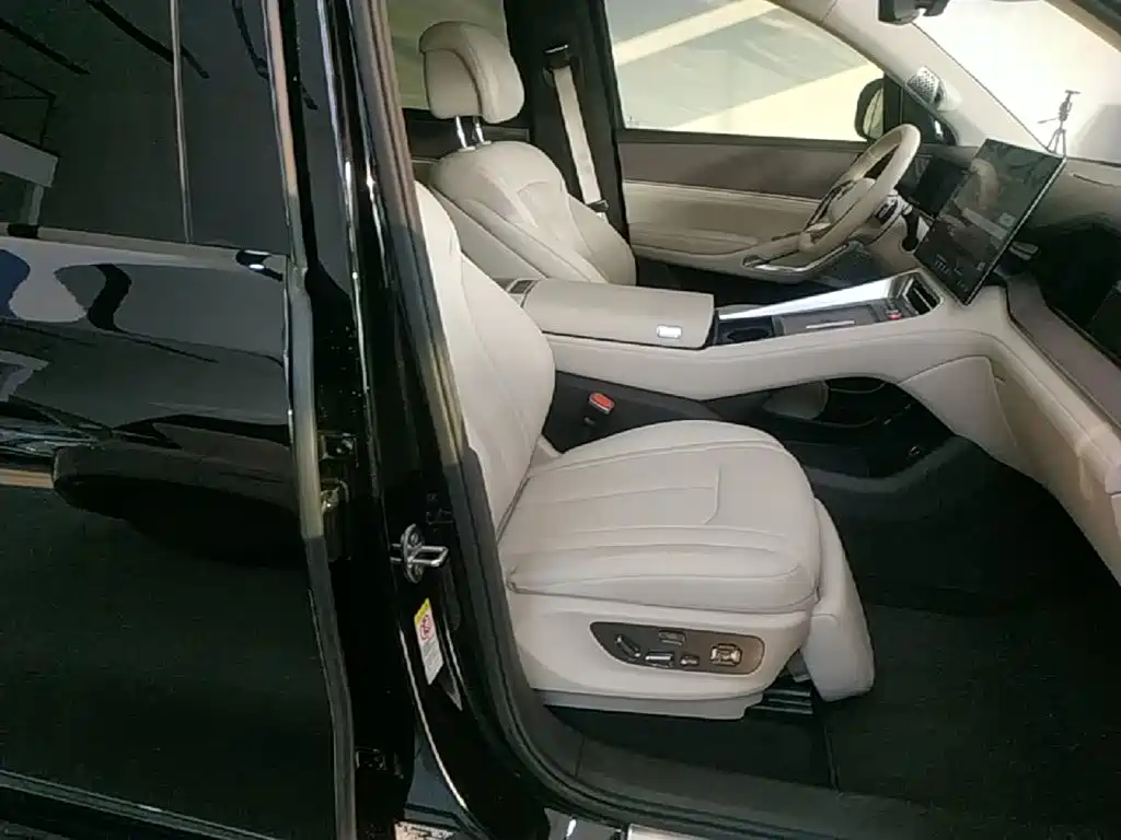Denza N9 2025 2025 Flagship Model