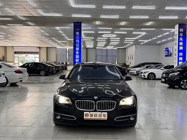 BMW 5 Series 2014 525Li Luxury Design Package — фото 2