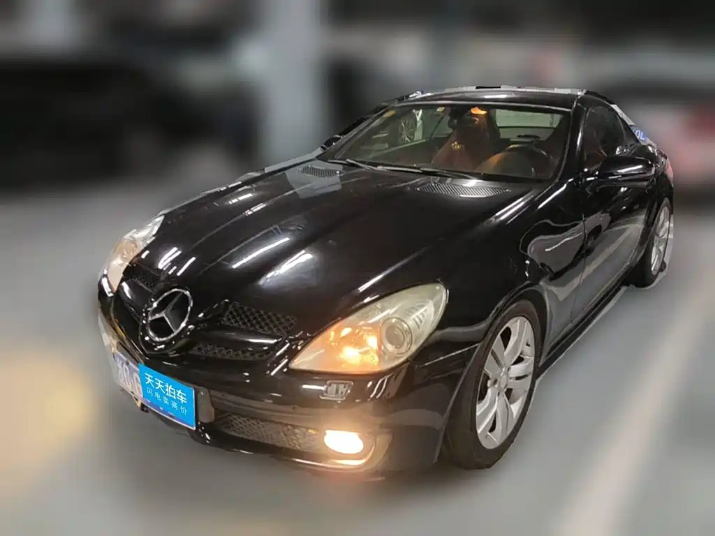 Mercedes-Benz Mercedes-Benz SLK-Class 2009 SLK 300