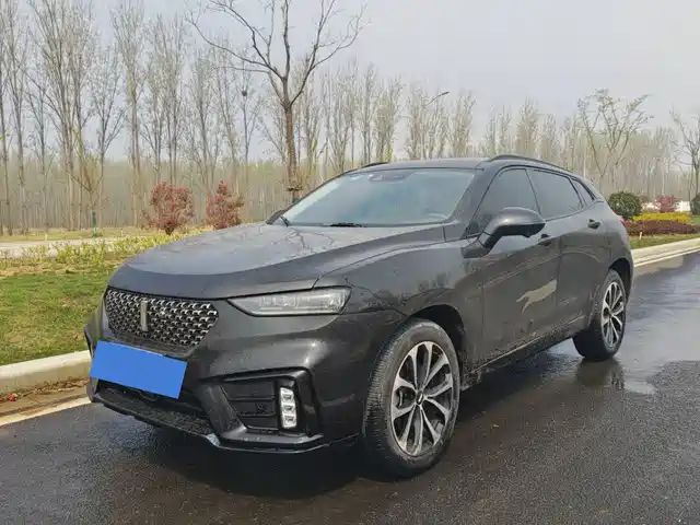 WEI PAI WEI BRAND VV7