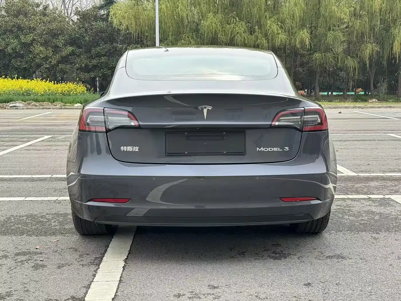 TESLA MODEL 3