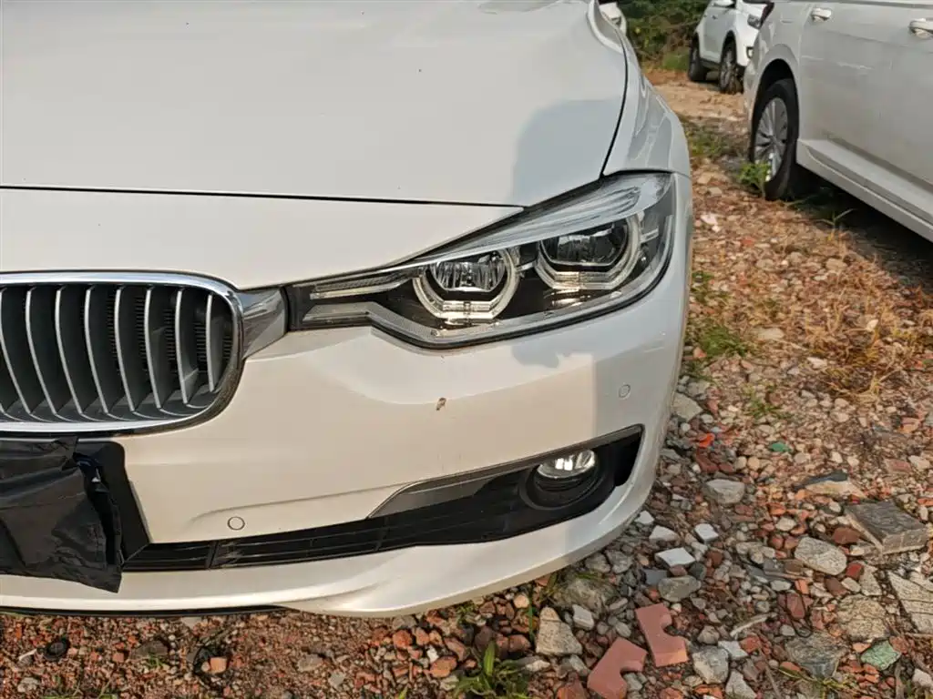 BMW 3 Series 2018 320Li Fashion Style фото 24