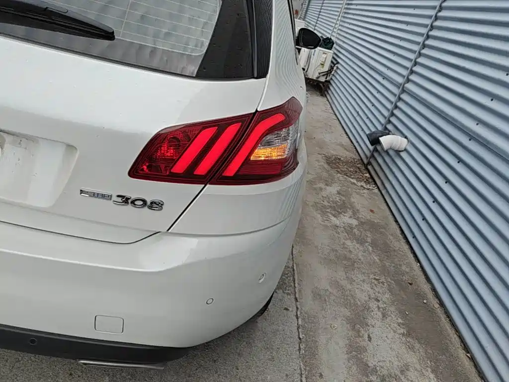 Фото 8 - Peugeot 308S