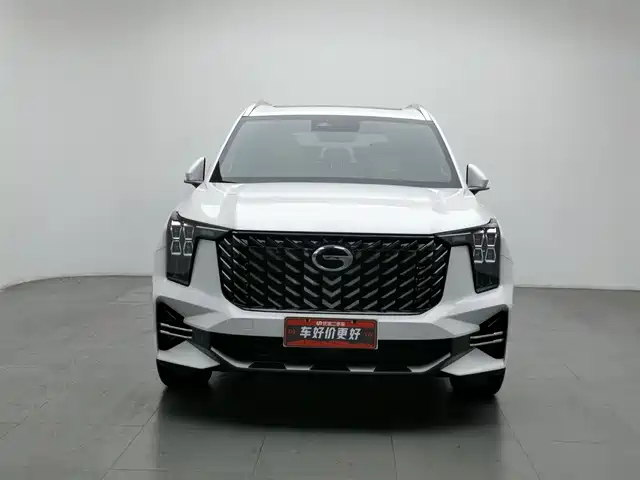 GAC Trumpchi Trumpchi GS8 2024 Navigator Series 2.0TGDI 2WD Luxury Smart Connect Edition — фото 3