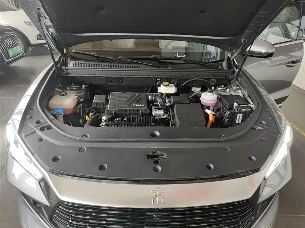 BYD Song Pro New Energy 2024 Glory Edition DM-i 71KM Leading фото 20