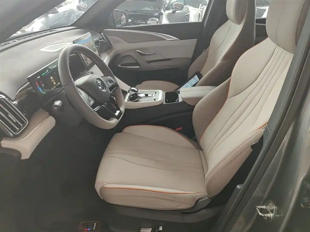 BYD Song Pro New Energy 2024 Glory Edition DM-i 71KM Leading фото 15