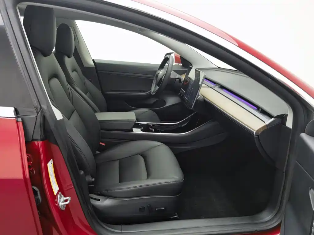 Tesla Model 3 2020 2020 Standard Range Rear-Wheel Drive Upgrade