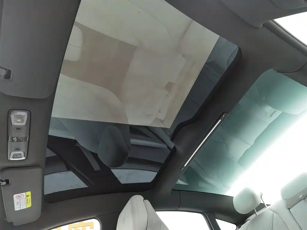 ARCFOX EXTREME FOX POLAR FOX ALPHA S5